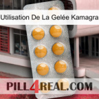 Utilisation De La Gelée Kamagra levitra1